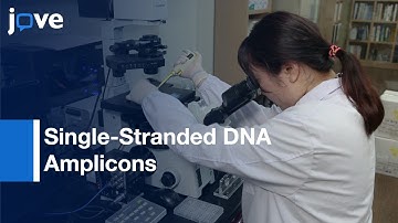 Droplet-Based Microfluidic Approach & Microsphere-PCR Amplification l Protocol Preview