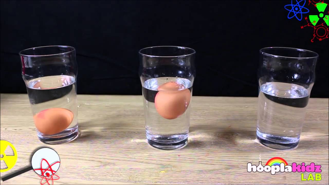 eksperimen sains anak  telur mengapung tenggelam dan 