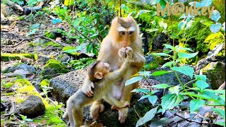 Sweet..! Saba is very brave to share some food with his mom.