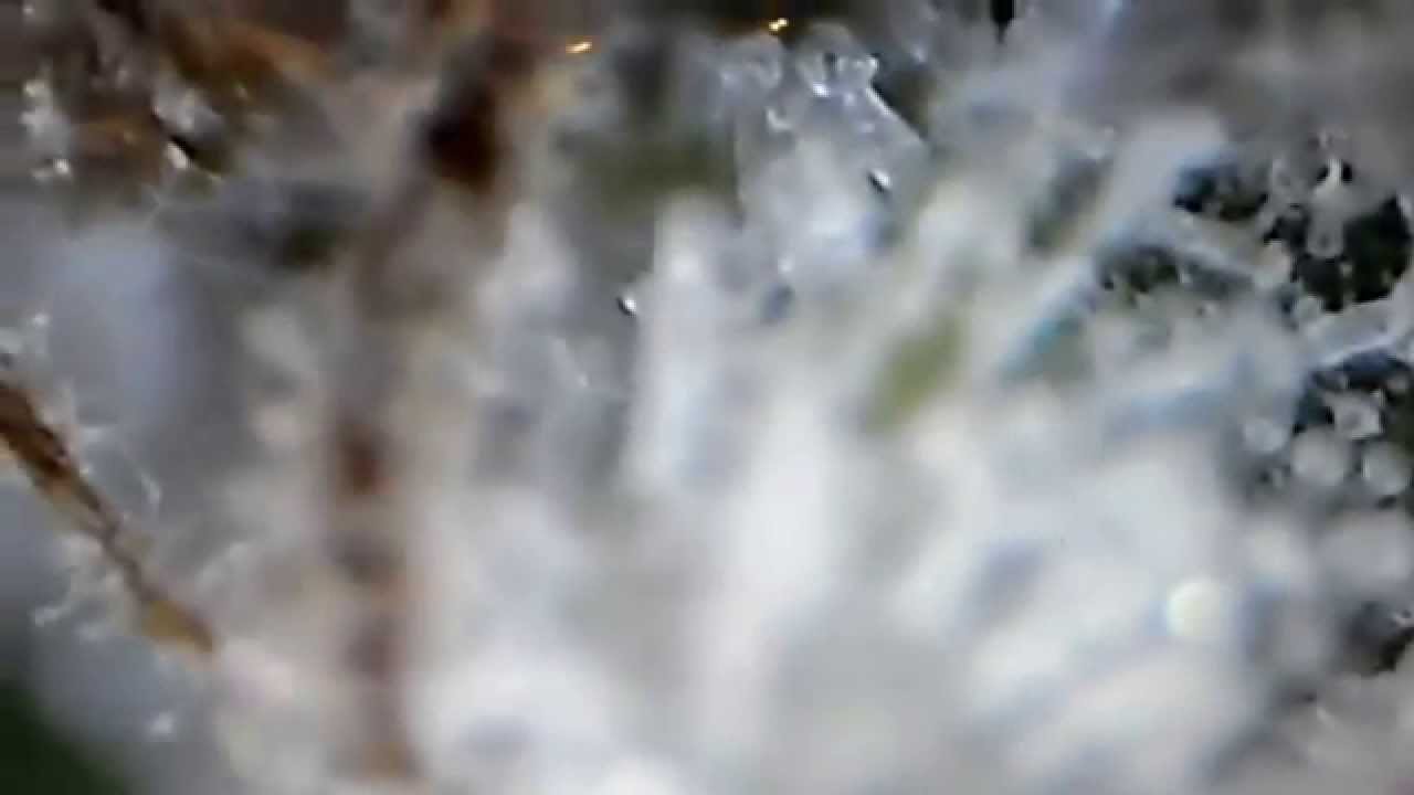 Another Look At Trichomes