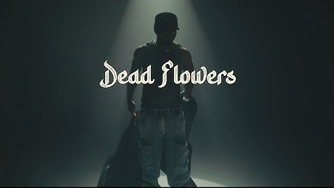 Llona - Dead Flowers (Official Video)