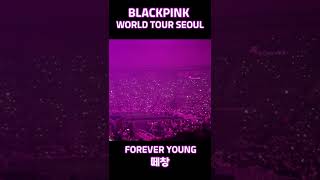 Blackpink World Tour Seoul Live Cam All together song Forerver Young|블랙핑크 월드투어 서울 소름 끼치는 떼창 #shorts
