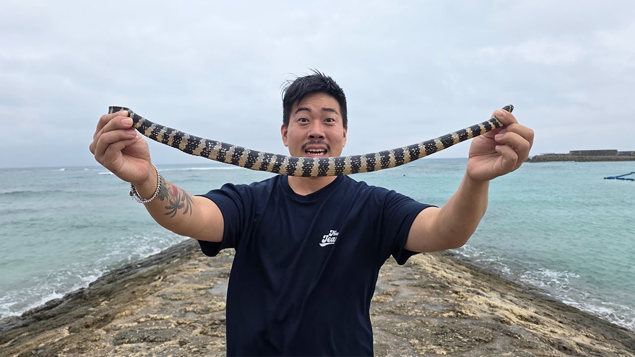 바다뱀을 잡아서 먹어보자!
