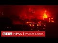 В Чили бушуют лесные пожары. Число погибших перевалило за сотню