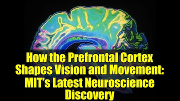 How the Prefrontal Cortex Shapes Vision and Movement: MIT’s Latest Neuroscience Discovery