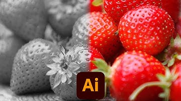 Convert the image to grayscale - Adobe Illustrator