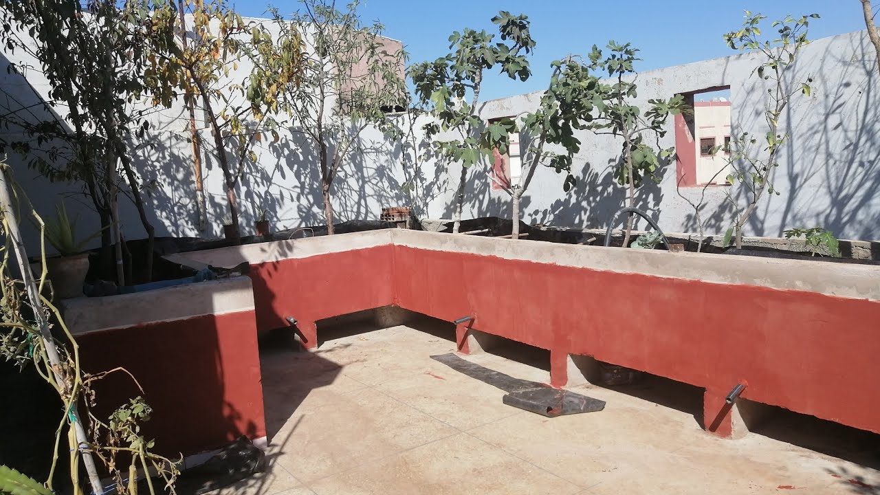 زراعة الأسطح 262 - صباغة حوض الزراعة بعد الانتهاء من زراعة الأشجار