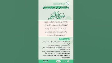 زادك القرآني في شهر ربيع الثاني | سورة النور | من الآية (17) إلى الآية (20) | #القرآن #اكسبلور