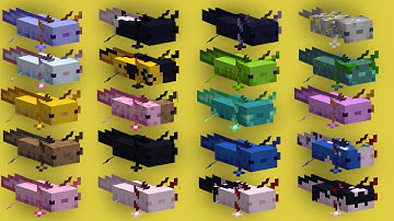 Minecraft Mods : More Axolotls 1.19.2