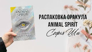 ANIMAL SPIRIT / распаковка Оракула от Ким Кранс издательства Эксмо