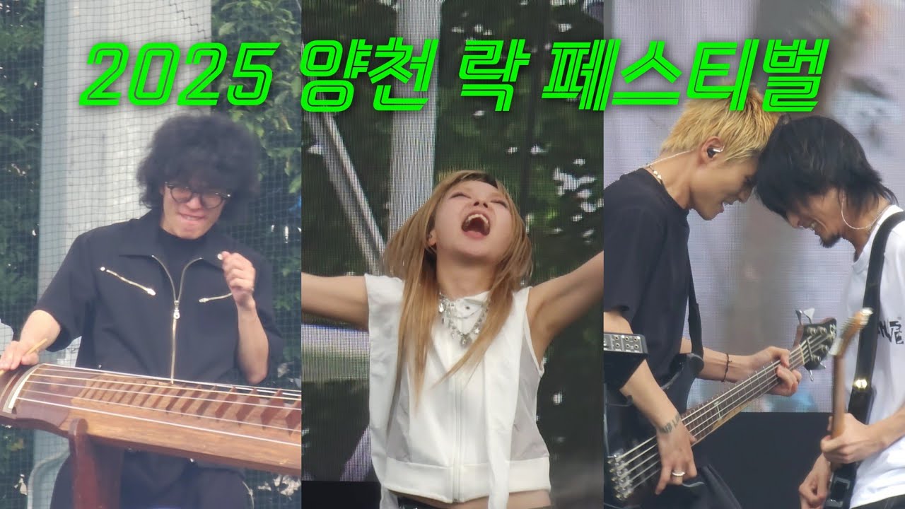 카디(KARDI) - 2025 양천 락 페스티벌