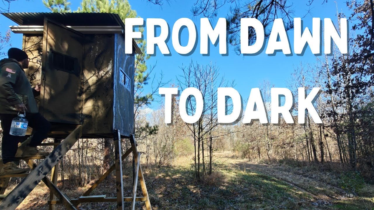 Day 2 — Morning to Evening Hunts  The Grind Continues