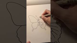 How to Draw a Butterfly: Easy Step-by-Step Guide