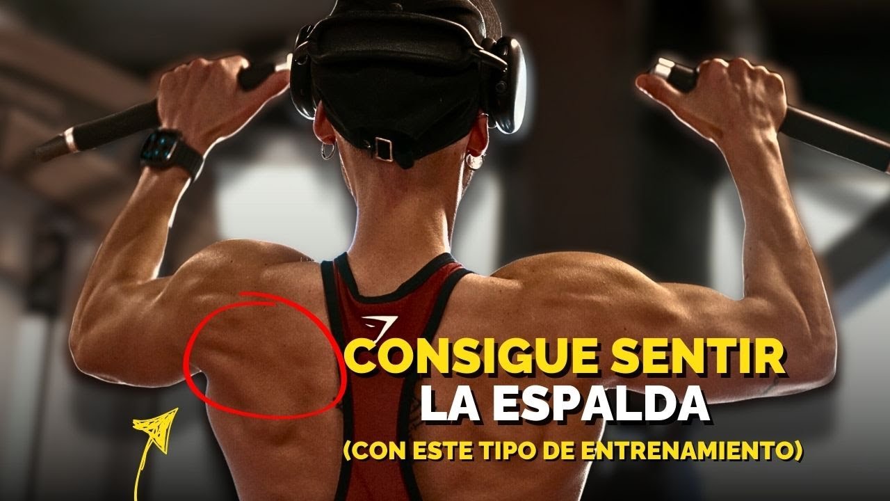 EJERCICIOS para una ESPALDA PERFECTA - YouTube