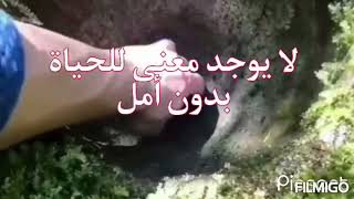 حكم وعبر 🌵كلمات رائعة عن الأمل