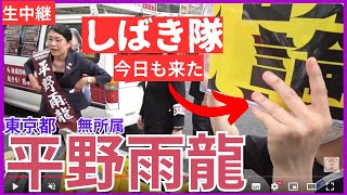 ③ #平野雨龍 【東京選挙区】参議院選挙 7月13日 16時 数寄屋橋交差点