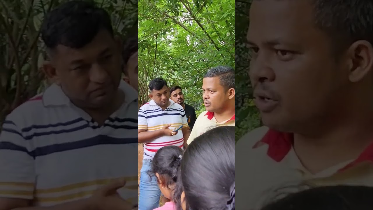 GOA Spice Garden Part 2 - Lemon Grass I Authentic Lemon Grass Tea benefits