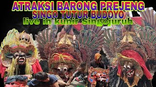 barong kesurupan menjadi rewel akibat sesajen kurang [SINGO TUTUR BUDOYO] di kunir