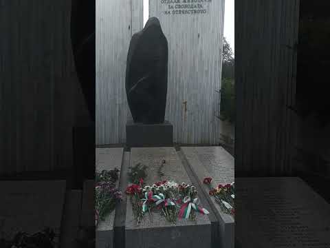 Имала майка едно ми чедо