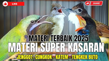 MATERI TERBAIK 2025!! KOMBINASI MEWAH KASARAN!! CUNGKOK KUNTI - JENGGOT BESET - TENGKEK BUTO - KATEM