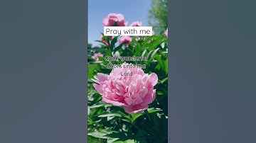 Thumbnail of Pray with me, speak this prayer every day for ourselves. By@beyondgraceprayers