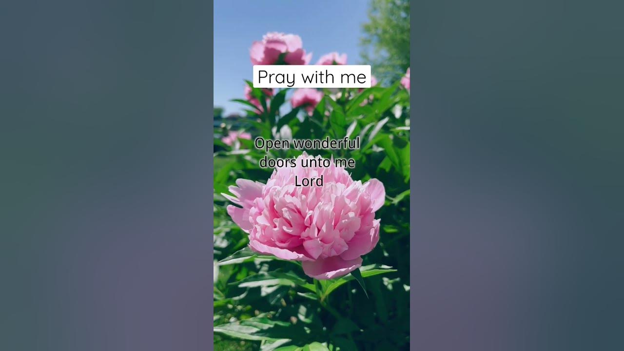 Pray with me, speak this prayer every day for ourselves. By@beyondgraceprayers