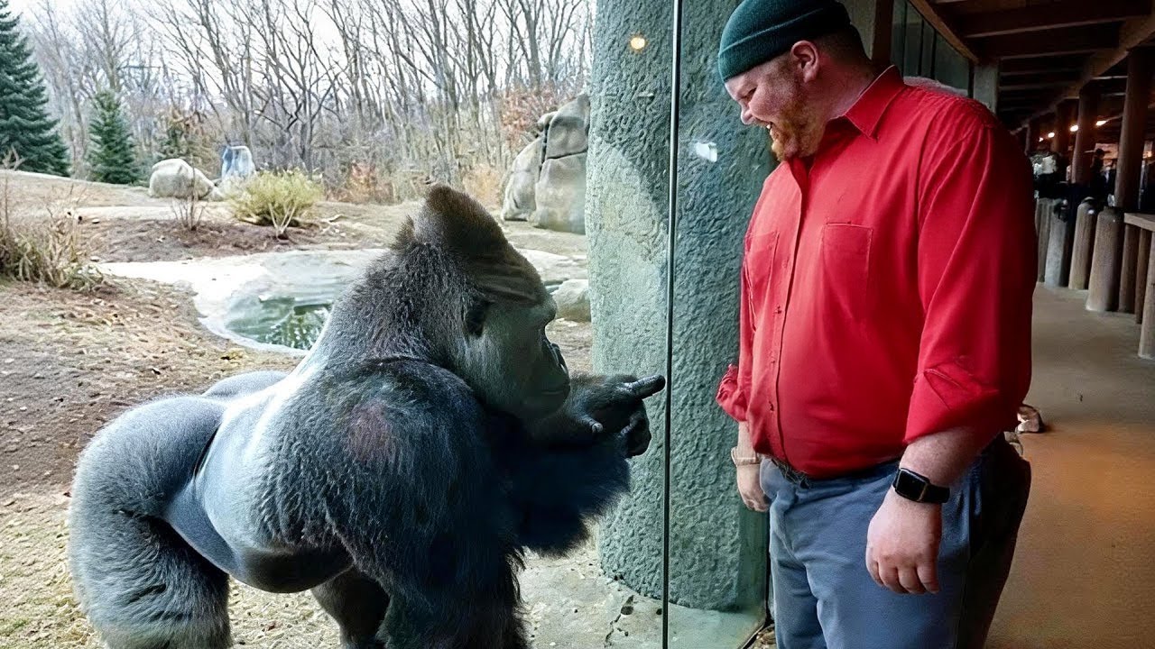 The Funniest Animals On The Internet 😂 NEW Funny Animal Videos 2026!