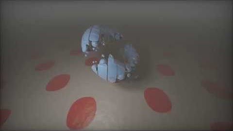 OpenGL - weird torus