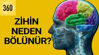 Şizofreni Belirtileri: Sesler, Sanrılar Ve Gerçeklik :