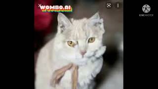 All Preview 2 Smg5 Favorite Msagent Tv Channels Deepfakes