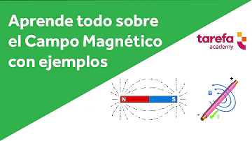 Come calcolare il modulo di un campo magnetico?