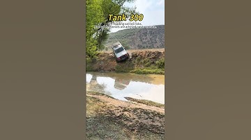 The Tank 300 driver was bold—one slip and it could