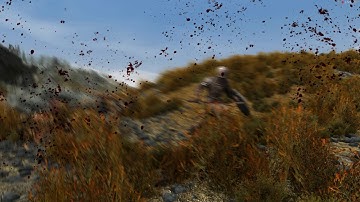 Skyrim camera problem