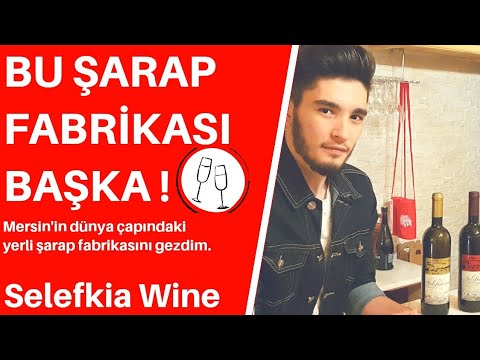 Video: Şaraphane 