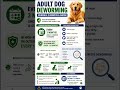 #youtubeshorts #shorts #AdultDogCare #PetSafety #DogWellness #VetTips #PetAwareness #PetRoutine