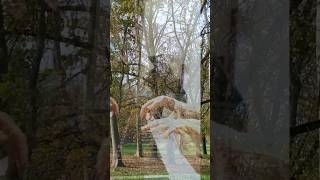 Tchaikovsky - The Season : October  "Autumn Song"