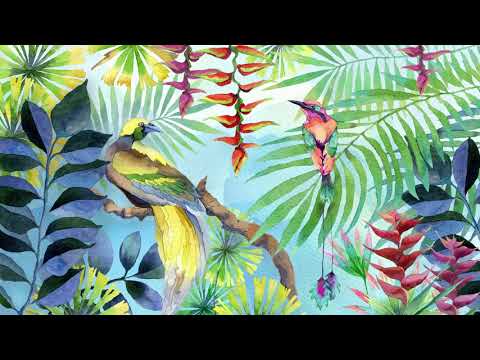 Minnado — Minnado - Ori