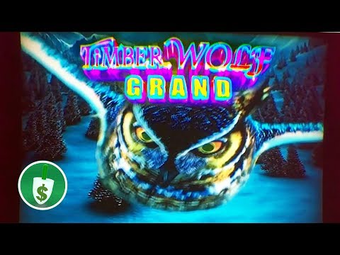 Timber Wolf Grand slot machine, bonus