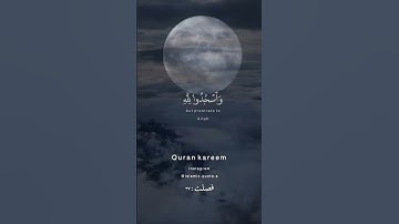 لا تسجدوا للشمس والقمر واسجدوا لله🌿حمزة بوديب#تلاوات #تلاوات_خاشعة #قرآن #قرآن_كريم #الله