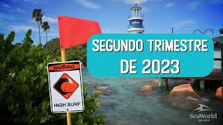 Teaser da Pipeline a nova montanha russa do SeaWorld Orlando