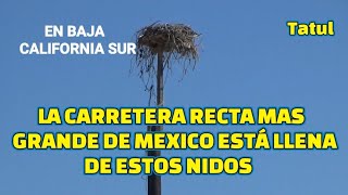 La carretera recta mas larga de México