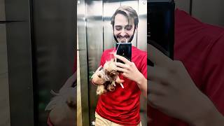 Funny dogs sneezing like they just scared themselves🤧🐶😳🤔#dogs #doggielife #funnydogs #funny