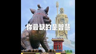202001 你最缺的是智慧51411