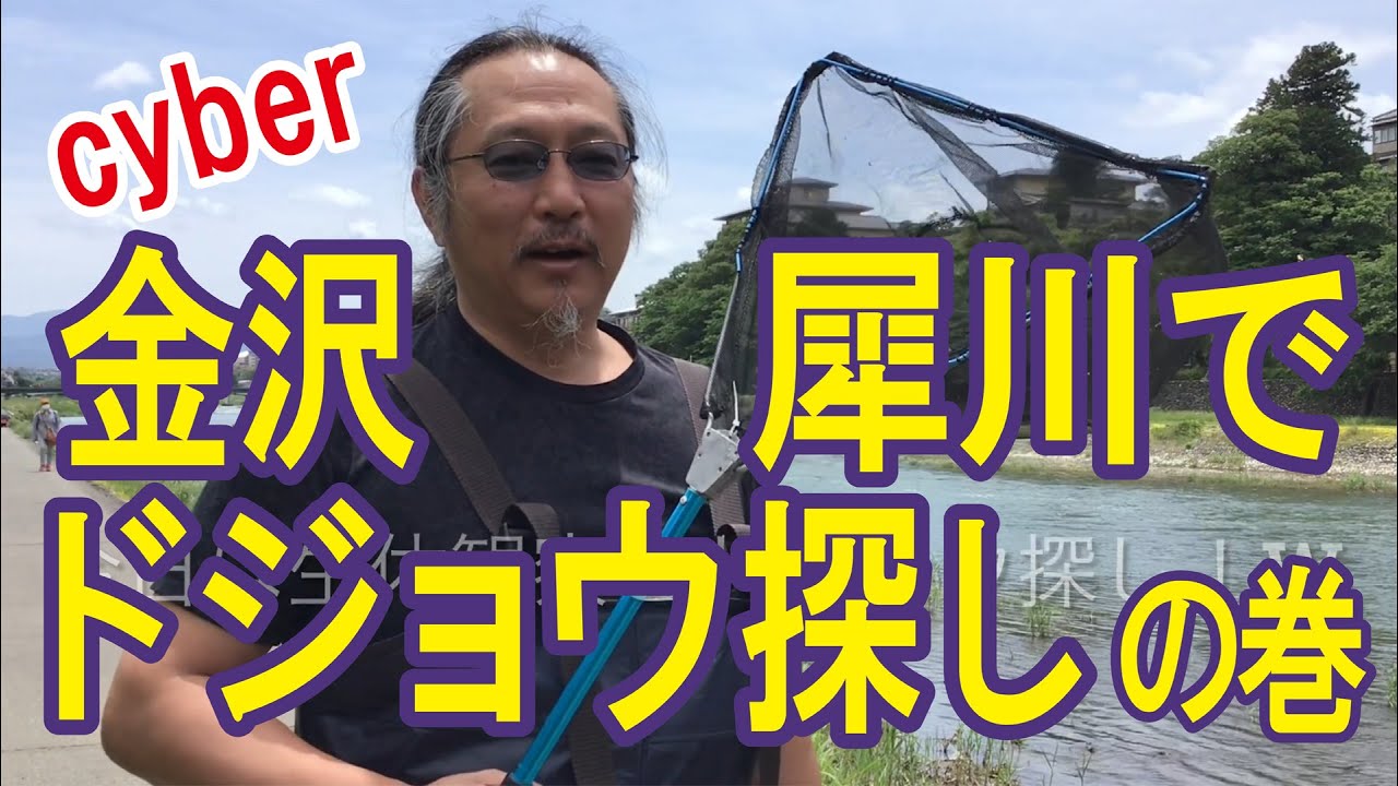 金沢 犀川 生体観察 ドジョウ探しの巻 ミナミヌマエビ メダカ まったり エンタメ 石川県 ウェーダー Youtube