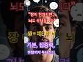 소화 기능 #장건강 #소화기능 #제2의뇌 #건강정보 #마인드핏랩 #멘탈케어 #소화불량 #장내미생물 #헬스케어