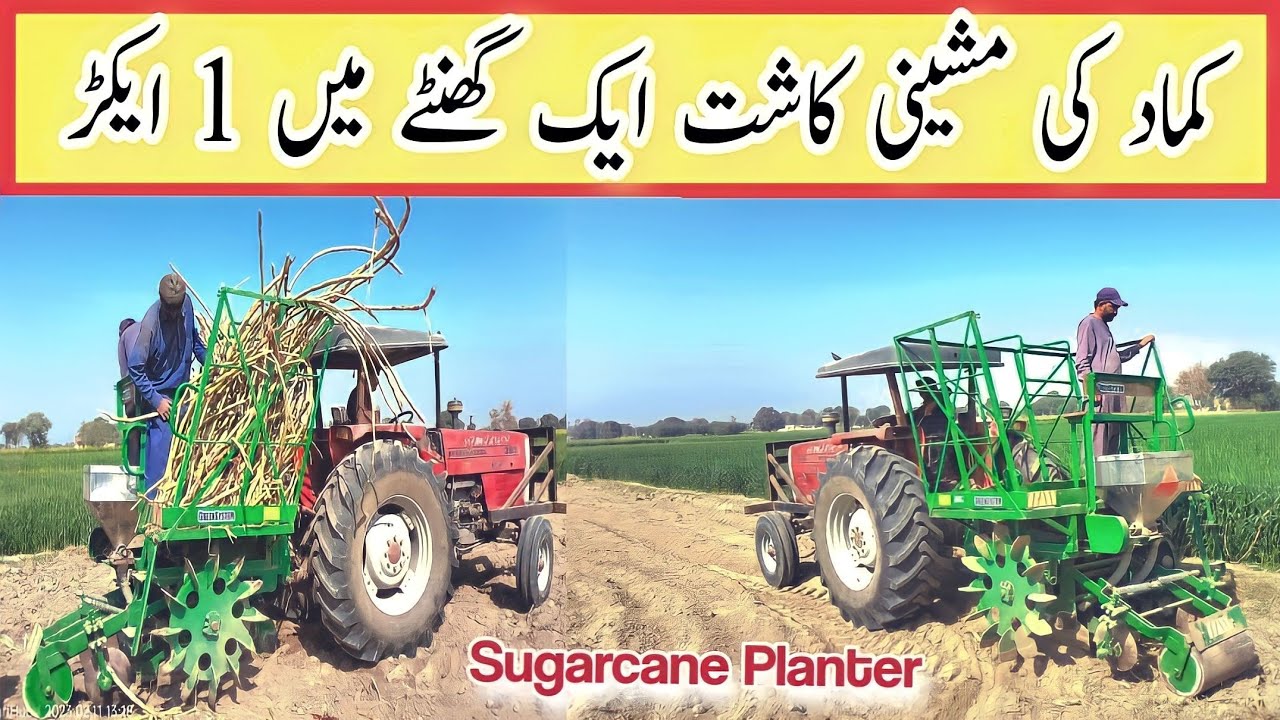 Watch This Incredible Sugarcane Planter Machine at Work!