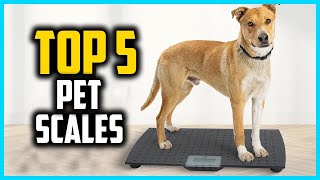 ✅Top 5 Best Pet Scales in 2025