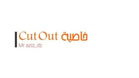 Techsmith Snagit 12 : Cut Out