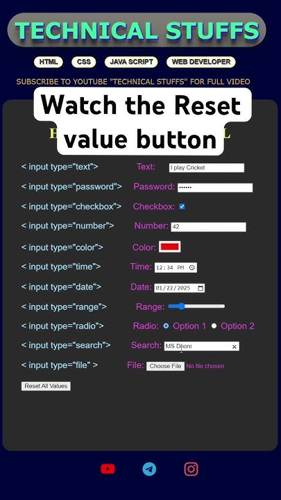 Inputs in HTML using CSS | With reset values #html #javascript - YouTube