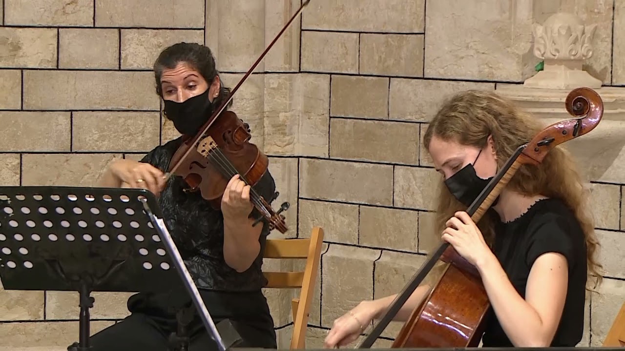 Mozart Eine Kleine Nachtmusik K525 2nd movement - Romance